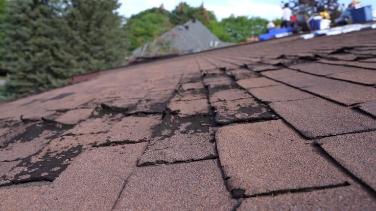 Waterproofing in Shiner, TX