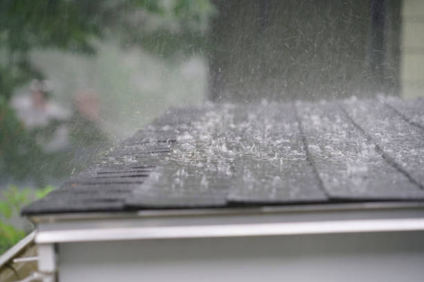 Best Asphalt Shingles Roofing  in Shiner, TX